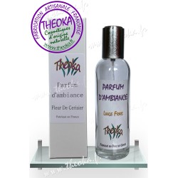 Vaporisateur de parfum d'ambiance - 100 ml.