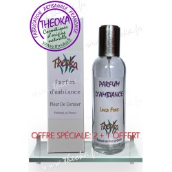 Vaporisateur de parfum d'ambiance