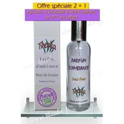 Vaporisateur de parfum d'ambiance